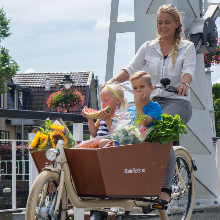 Cargo Bike